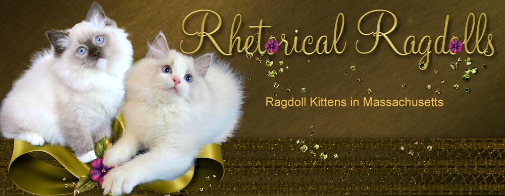 Rhetorical Ragdolls